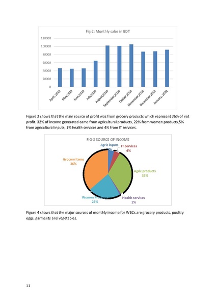 File:BGIF22C 25jun 20 Final Report WBC Phase 3 United Purpose.pdf