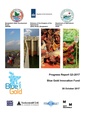 BGIF QPR Jul-Sep 2017 26oct 17.pdf