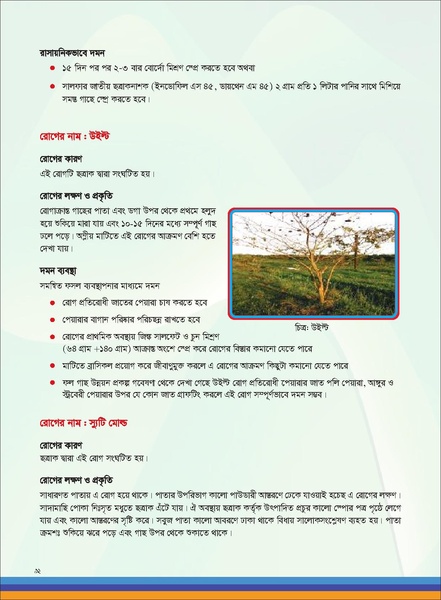 File:TM fruit farming FFS jan 19 compressed.pdf