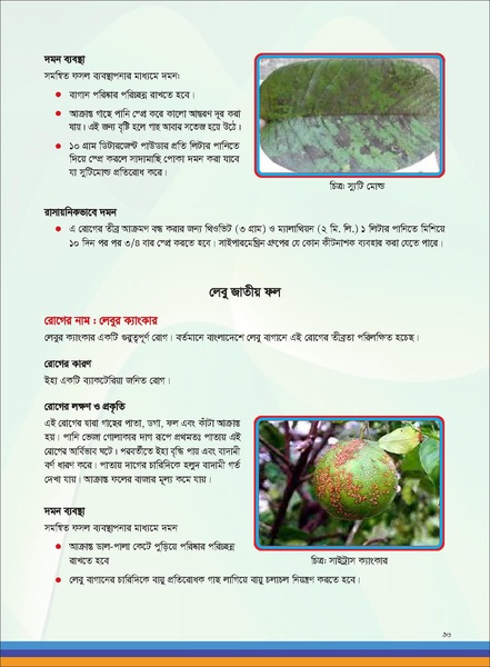 File:TM fruit farming FFS jan 19 compressed.pdf
