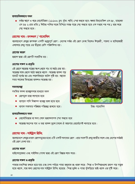 File:TM fruit farming FFS jan 19 compressed.pdf