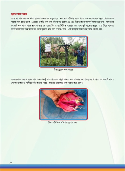 File:TM fruit farming FFS jan 19 compressed.pdf