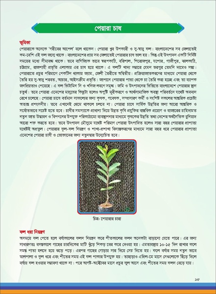 File:TM fruit farming FFS jan 19 compressed.pdf