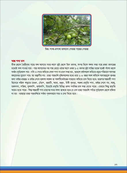 File:TM fruit farming FFS jan 19 compressed.pdf