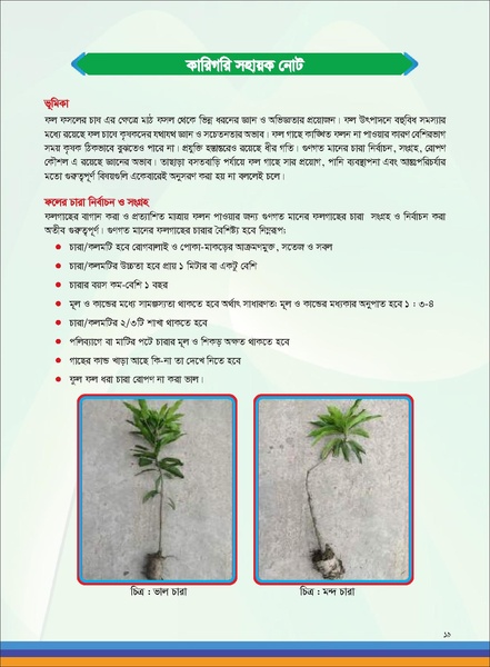 File:TM fruit farming FFS jan 19 compressed.pdf