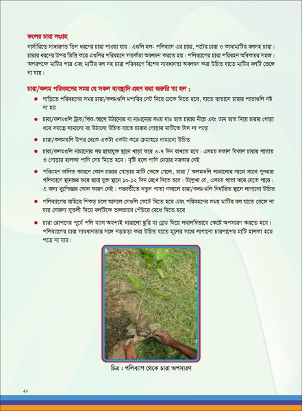 File:TM fruit farming FFS jan 19 compressed.pdf
