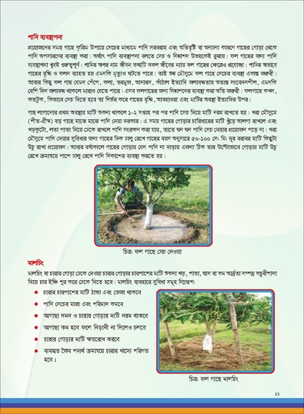 File:TM fruit farming FFS jan 19 compressed.pdf