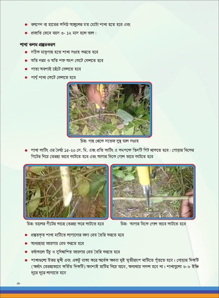 File:TM fruit farming FFS jan 19 compressed.pdf