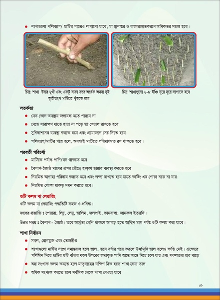 File:TM fruit farming FFS jan 19 compressed.pdf