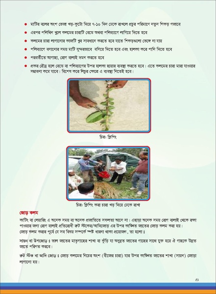 File:TM fruit farming FFS jan 19 compressed.pdf