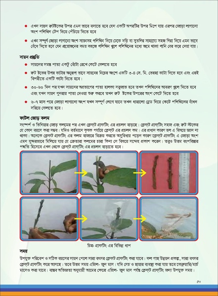 File:TM fruit farming FFS jan 19 compressed.pdf