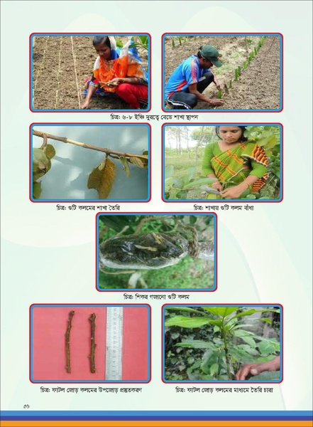 File:TM fruit farming FFS jan 19 compressed.pdf