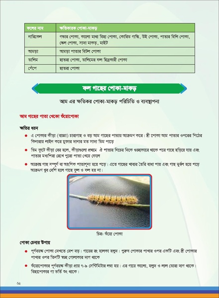 File:TM fruit farming FFS jan 19 compressed.pdf