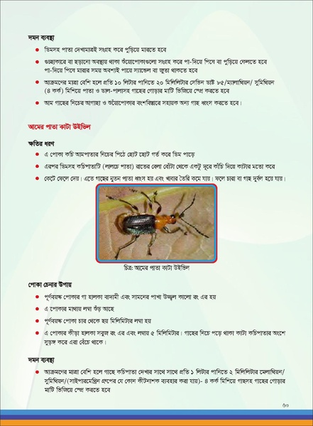 File:TM fruit farming FFS jan 19 compressed.pdf