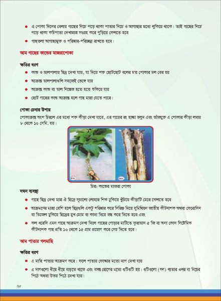 File:TM fruit farming FFS jan 19 compressed.pdf