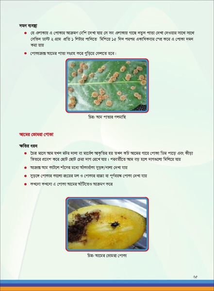File:TM fruit farming FFS jan 19 compressed.pdf