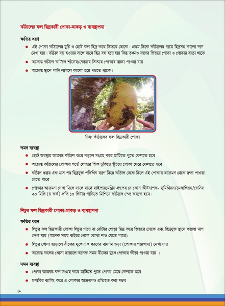 File:TM fruit farming FFS jan 19 compressed.pdf