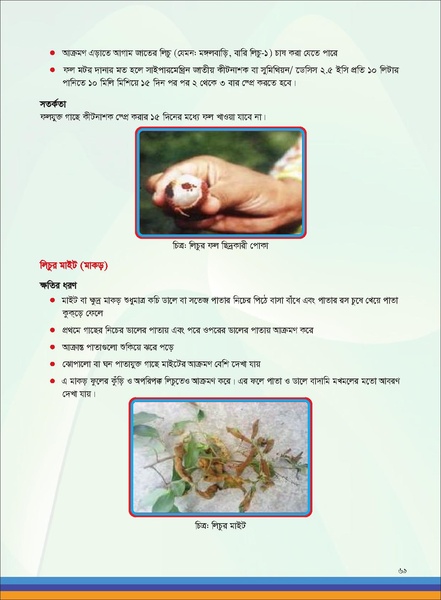 File:TM fruit farming FFS jan 19 compressed.pdf