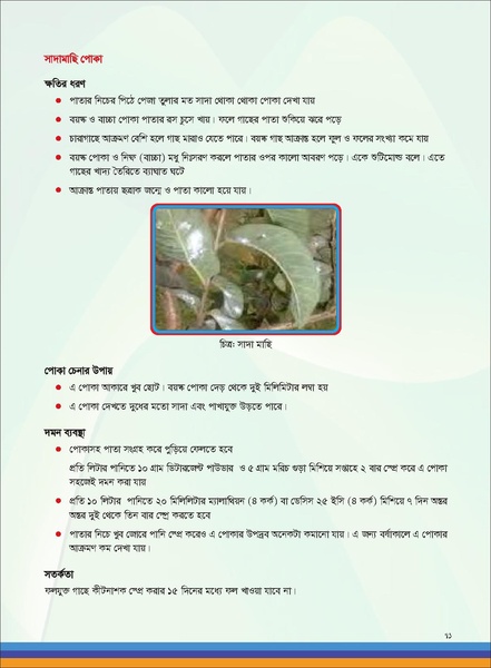 File:TM fruit farming FFS jan 19 compressed.pdf