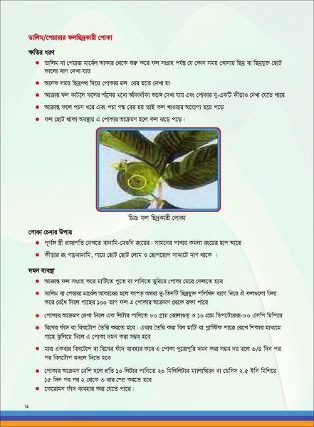 File:TM fruit farming FFS jan 19 compressed.pdf