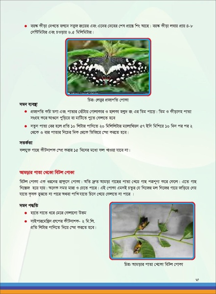 File:TM fruit farming FFS jan 19 compressed.pdf
