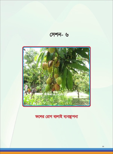 File:TM fruit farming FFS jan 19 compressed.pdf