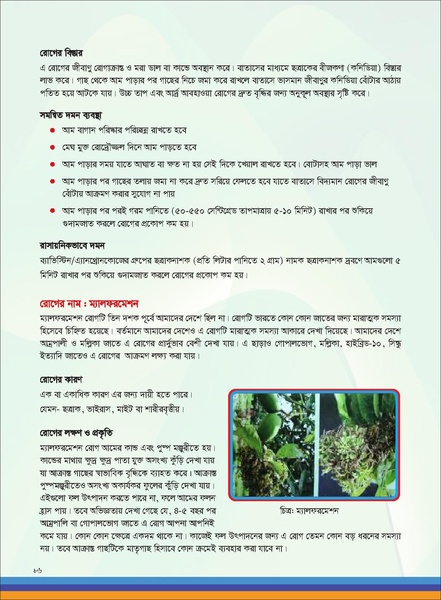 File:TM fruit farming FFS jan 19 compressed.pdf