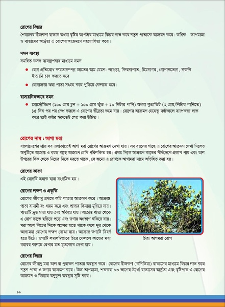 File:TM fruit farming FFS jan 19 compressed.pdf