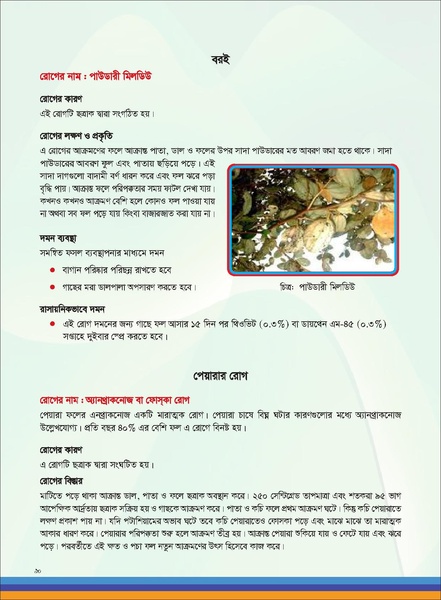 File:TM fruit farming FFS jan 19 compressed.pdf