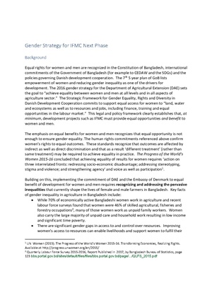 Gender IFMC-II proposed Gender Strategy Final.pdf