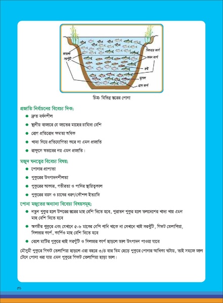 File:TM fisheries FFS 16apr 19.pdf