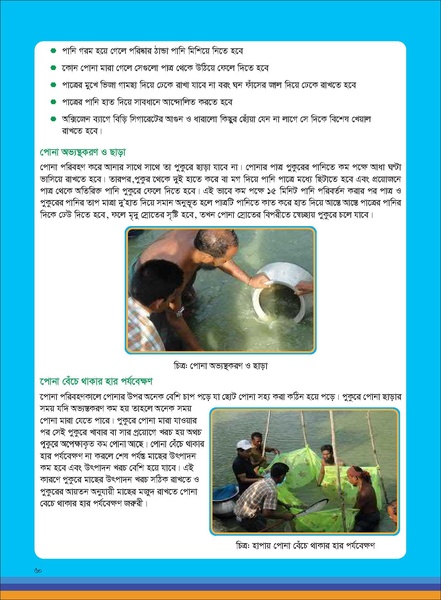 File:TM fisheries FFS 16apr 19.pdf