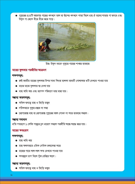 File:TM fisheries FFS 16apr 19.pdf