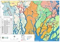 Thumbnail for version as of 04:19, 20 April 2021
