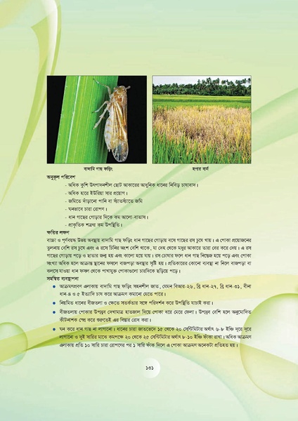File:GoB DAE BGP Field School Session Guide.pdf