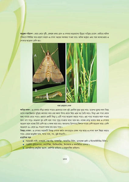 File:GoB DAE BGP Field School Session Guide.pdf