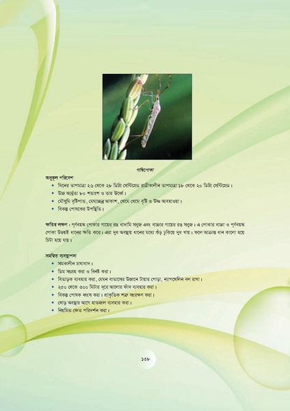 File:GoB DAE BGP Field School Session Guide.pdf