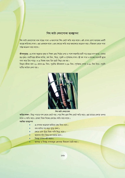 File:GoB DAE BGP Field School Session Guide.pdf
