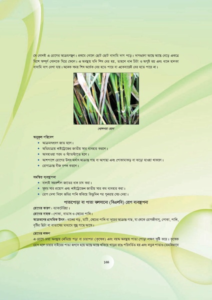 File:GoB DAE BGP Field School Session Guide.pdf