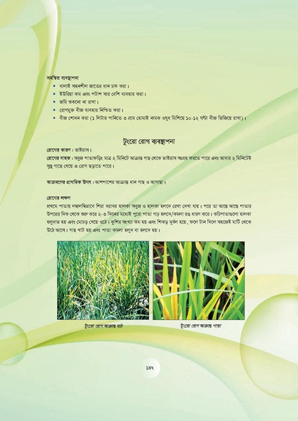 File:GoB DAE BGP Field School Session Guide.pdf