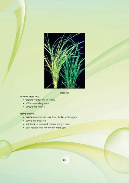 File:GoB DAE BGP Field School Session Guide.pdf