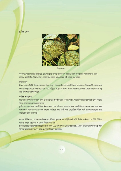File:GoB DAE BGP Field School Session Guide.pdf