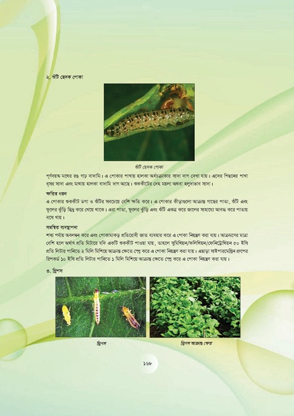 File:GoB DAE BGP Field School Session Guide.pdf