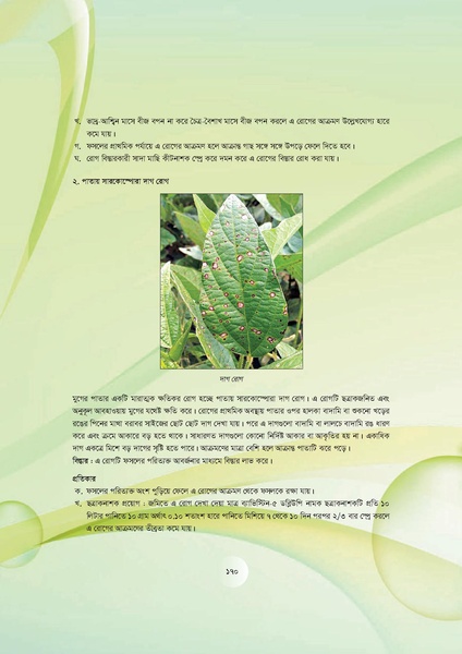 File:GoB DAE BGP Field School Session Guide.pdf