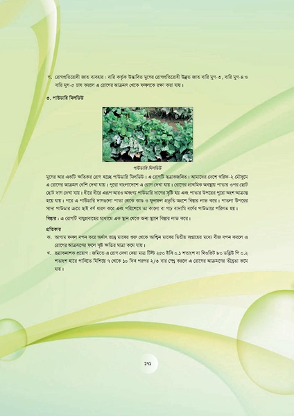 File:GoB DAE BGP Field School Session Guide.pdf