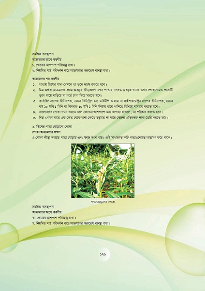File:GoB DAE BGP Field School Session Guide.pdf
