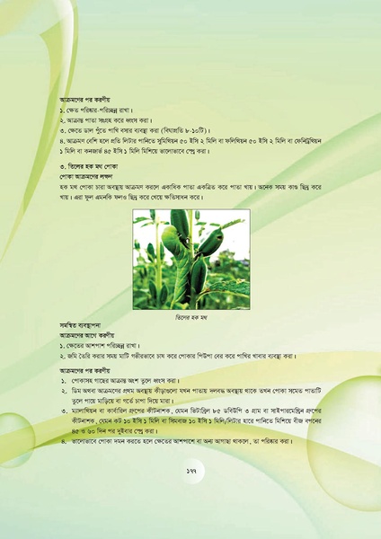 File:GoB DAE BGP Field School Session Guide.pdf