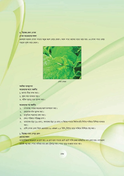File:GoB DAE BGP Field School Session Guide.pdf