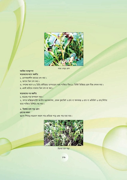 File:GoB DAE BGP Field School Session Guide.pdf