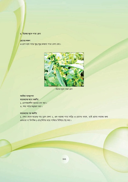 File:GoB DAE BGP Field School Session Guide.pdf